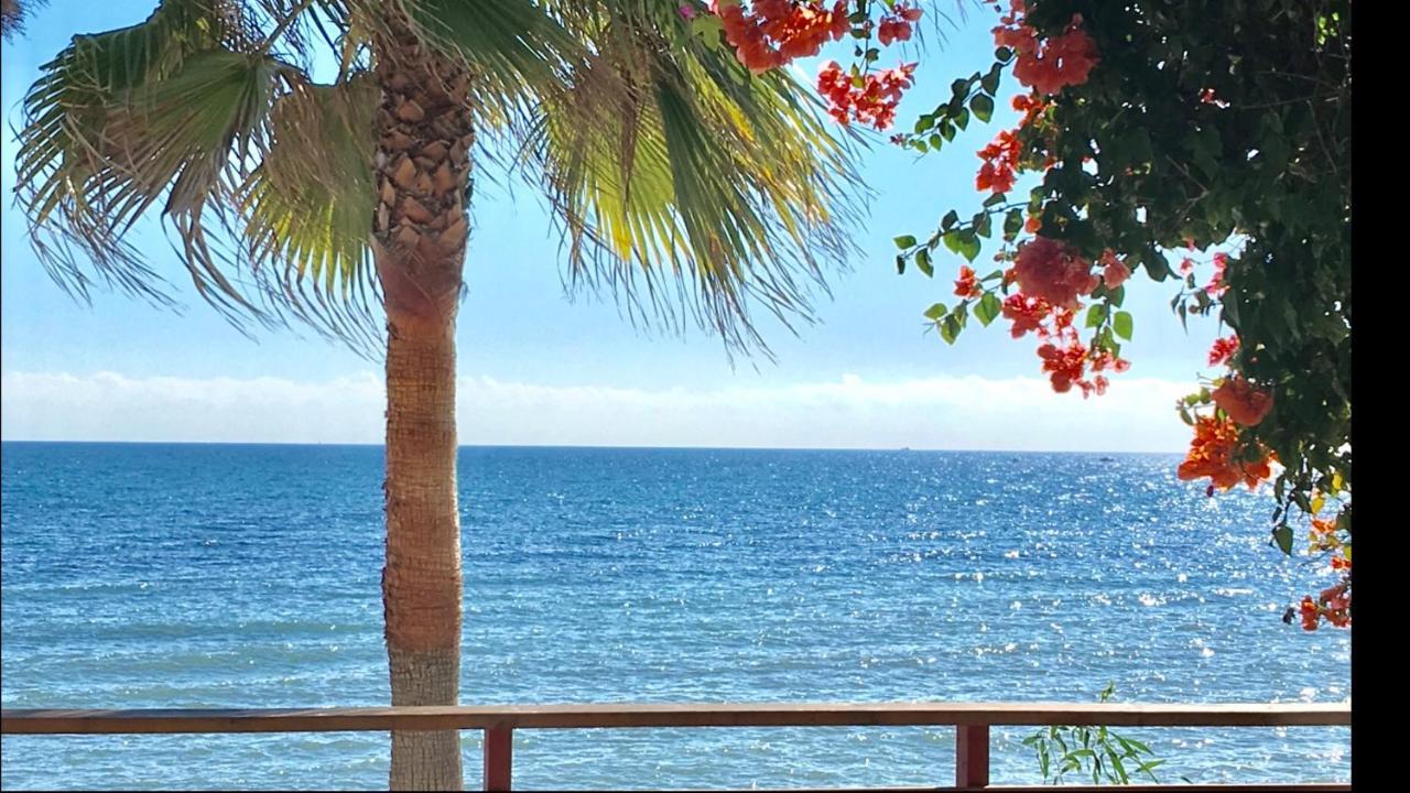 Mi Capricho 3-5 Beachfront- Apartment With Sea Views In Costa Del Sol Ситио-де-Калаонда Экстерьер фото